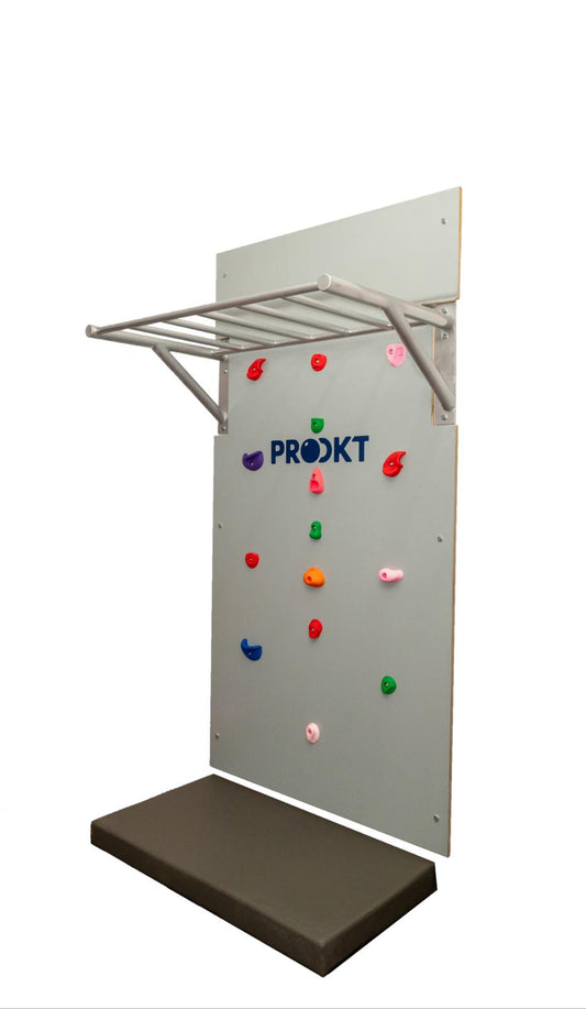 Wall mounted monkey bar with climbing wall